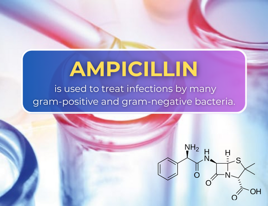 Ampicillin