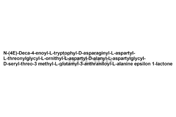 Daptomycin decaenoyl analog