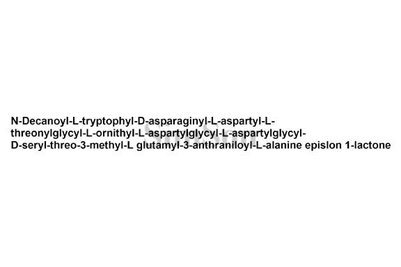 Daptomycin 8-glycine