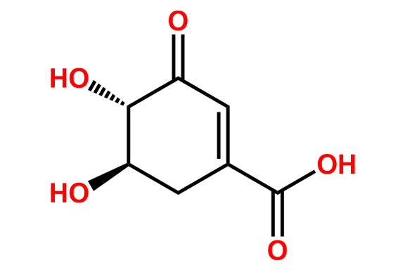 3-Dehydroshikimic Acid